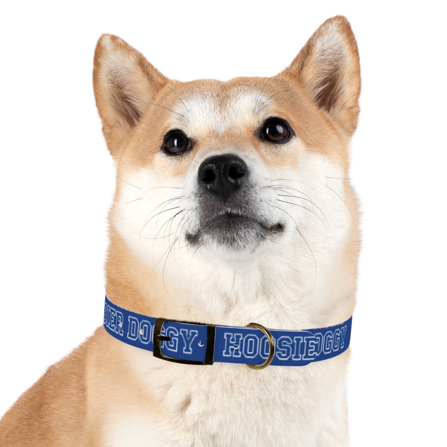 Copy of Dog Collar - Hoosier Doggy IU Colors Hoosiers
