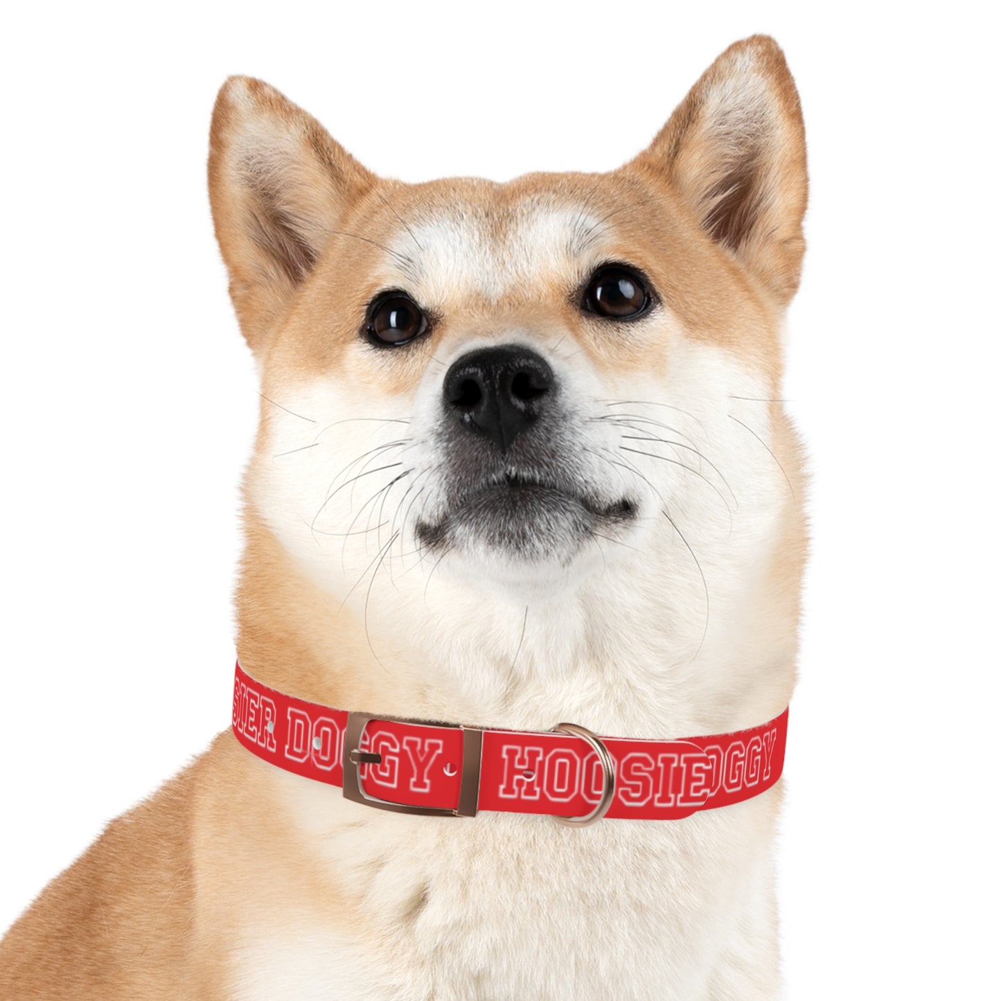 Hoosier Doggy Dog Collar