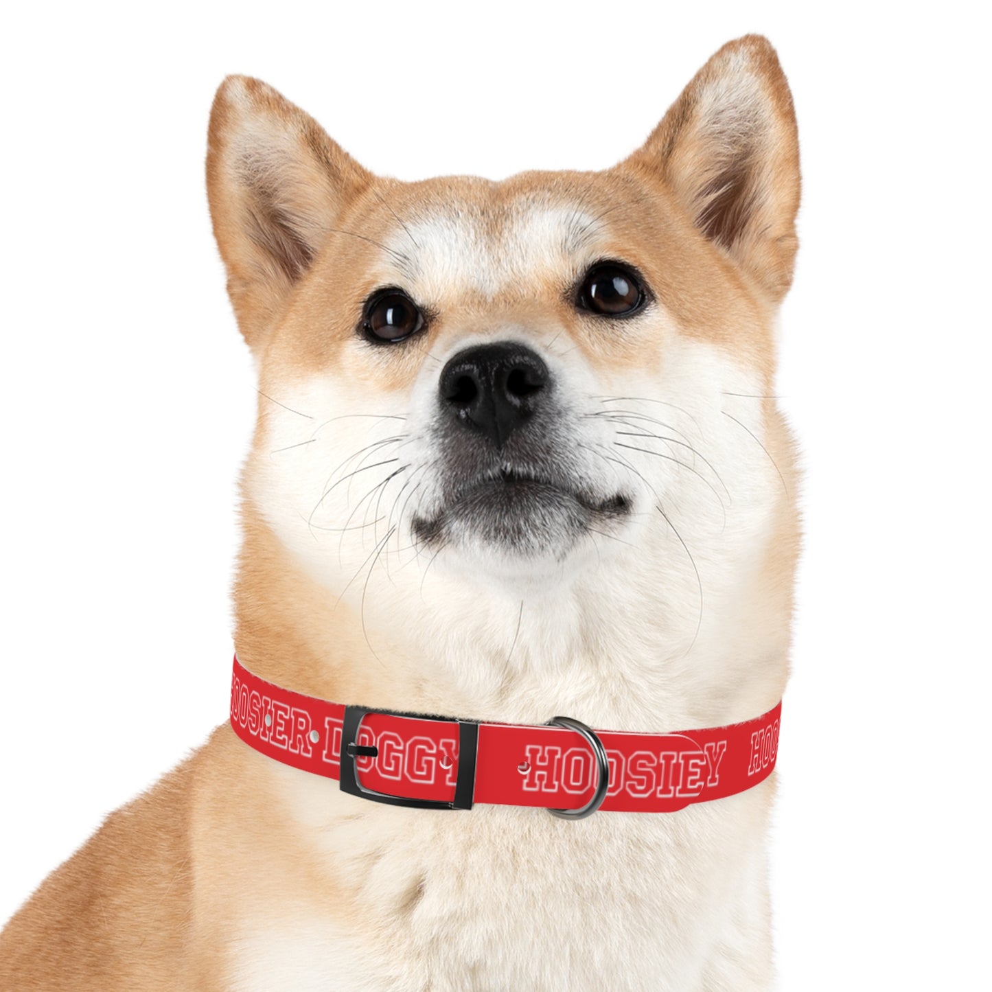Hoosier Doggy Dog Collar