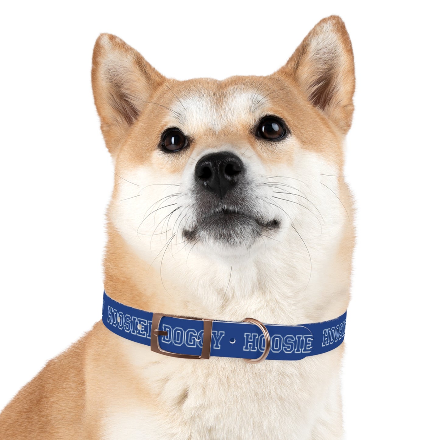 Copy of Dog Collar - Hoosier Doggy IU Colors Hoosiers