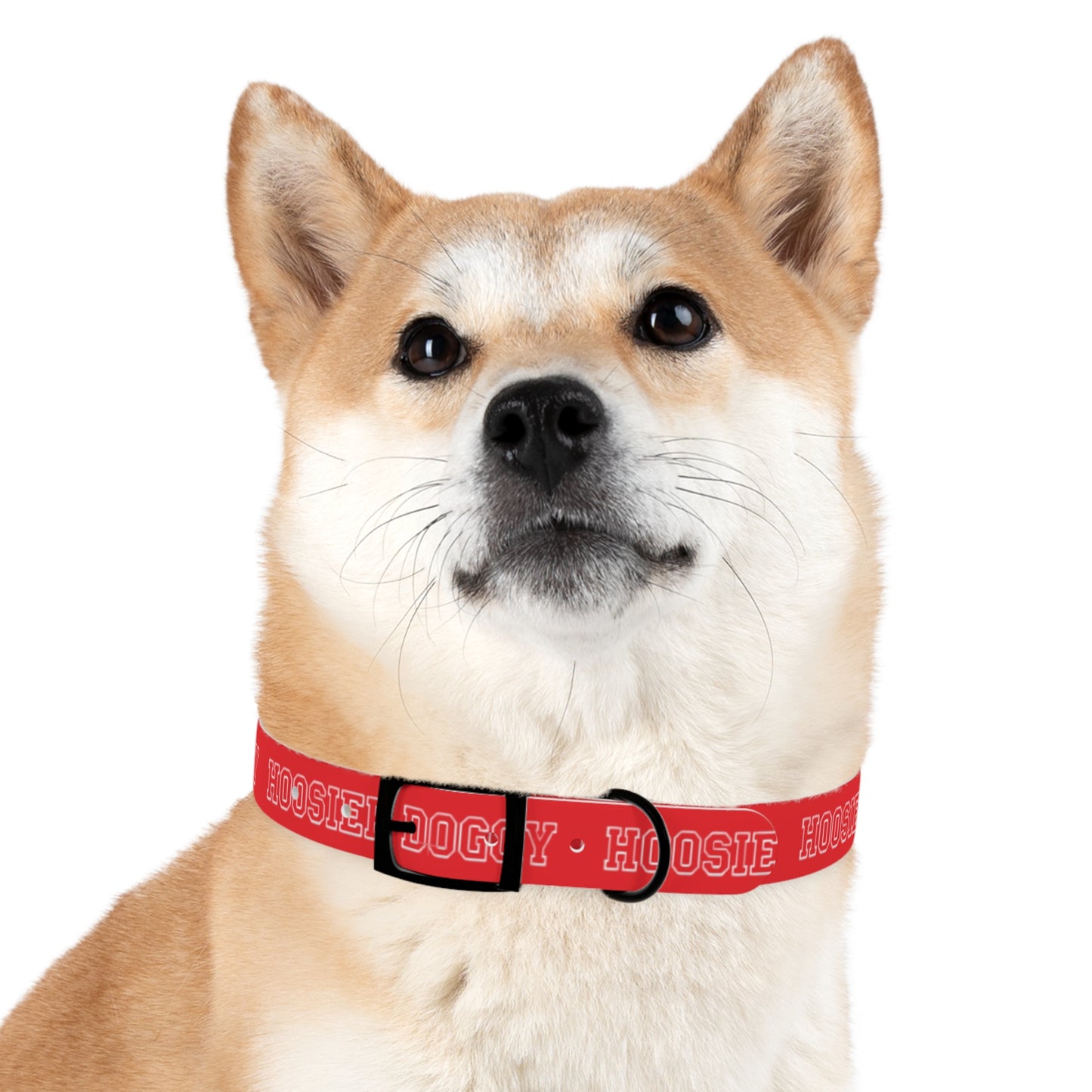 Hoosier Doggy Dog Collar