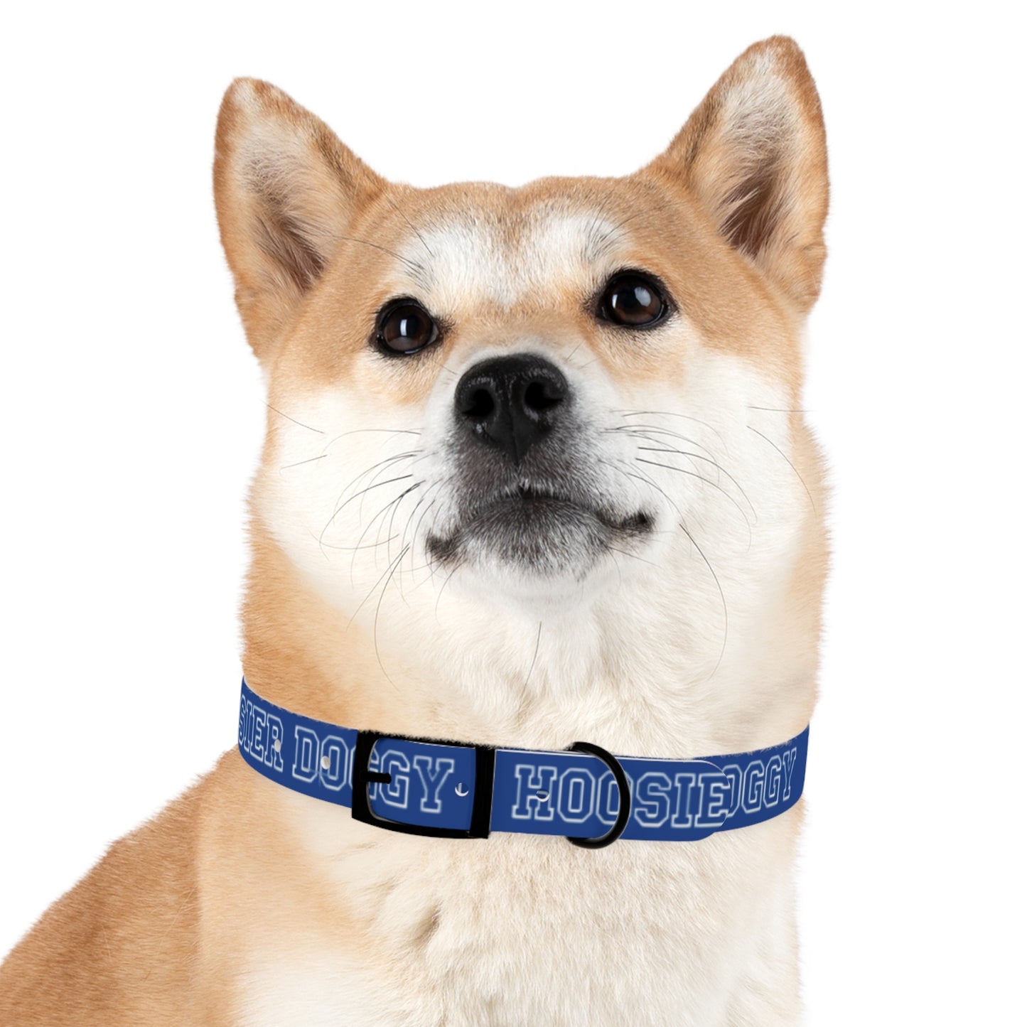 Copy of Dog Collar - Hoosier Doggy IU Colors Hoosiers