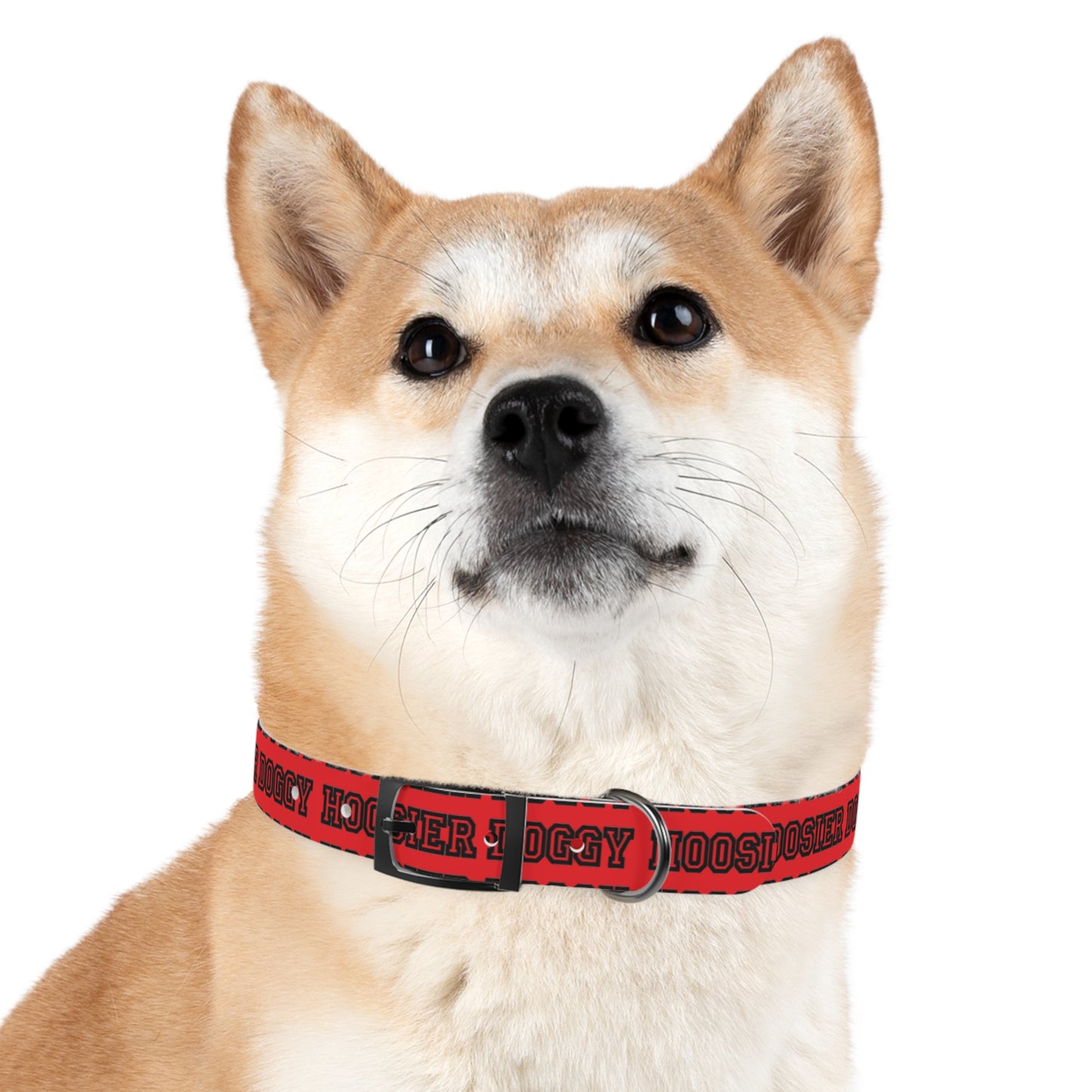 Copy of Dog Collar - Hoosier Doggy IU Colors Hoosiers